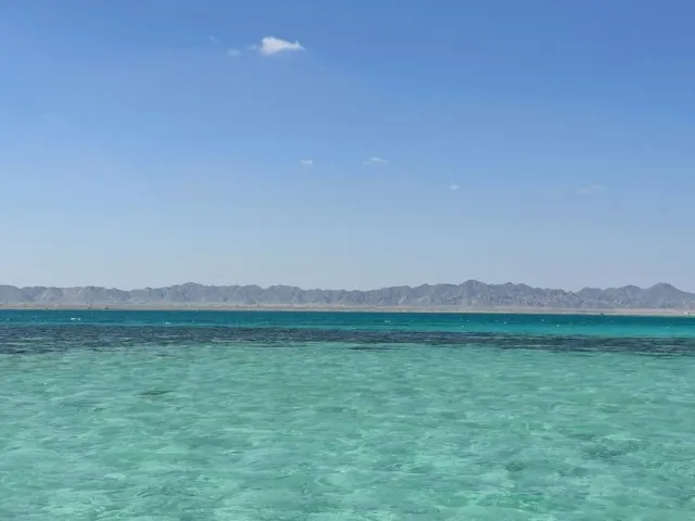 جزيرة الجفتون — رحلة يوم كامل وسنوركلينج — 2